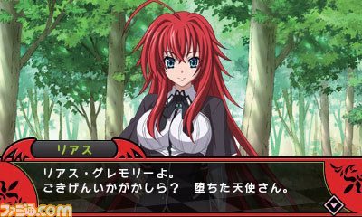 High School DxD, Nintendo