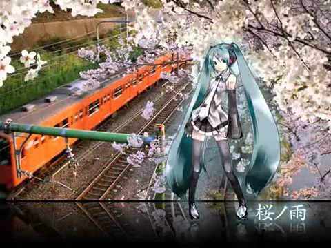 sakura no ame