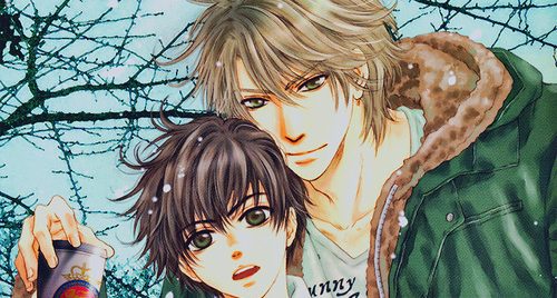 Super Lovers