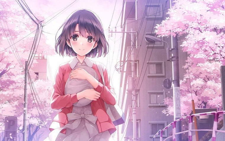 Saenai Heroine no Sodatekata