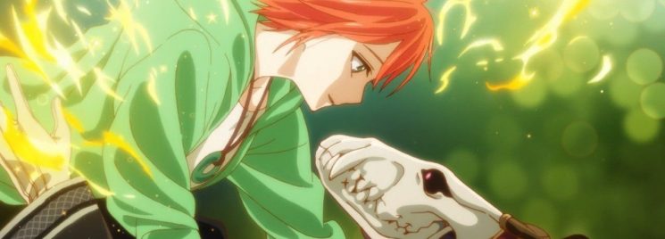 Mahoutsukai no Yome - Suposto vazamento revela a produção de um OVA