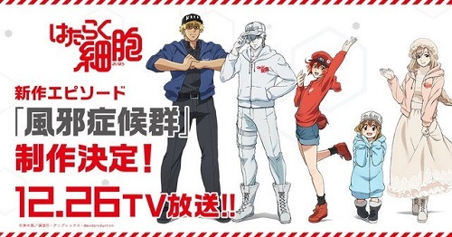 Você se conhece por dentro? Novas informações sobre a adaptação de Hataraku  Saibou foram divulgadas - Crunchyroll Notícias