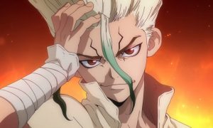 Dr. Stone