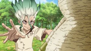 Dr. Stone