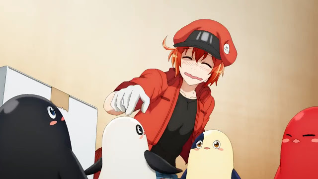 Assistir Hataraku Saibou!! 2 Episodio 5 Online