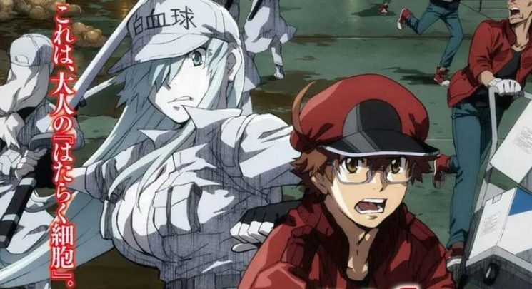 Você se conhece por dentro? Novas informações sobre a adaptação de Hataraku  Saibou foram divulgadas - Crunchyroll Notícias