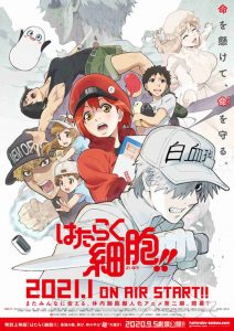 Hataraku Saibou!! 2