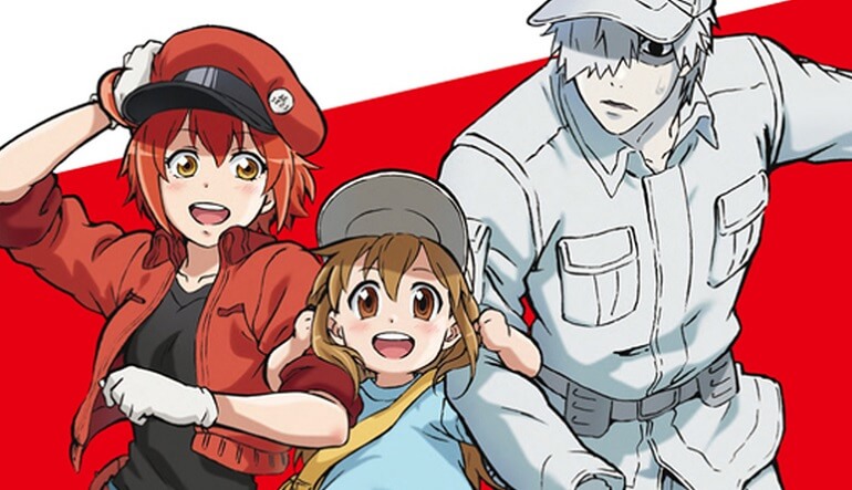 Hataraku Saibou/Cells at Work - Você conhece o seu Sangue? (Ep. 1) 