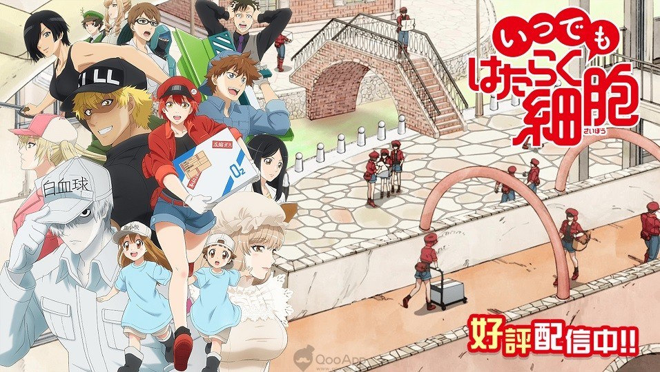 Hataraku Saibou: Anime baseado no nosso sistema imunológico