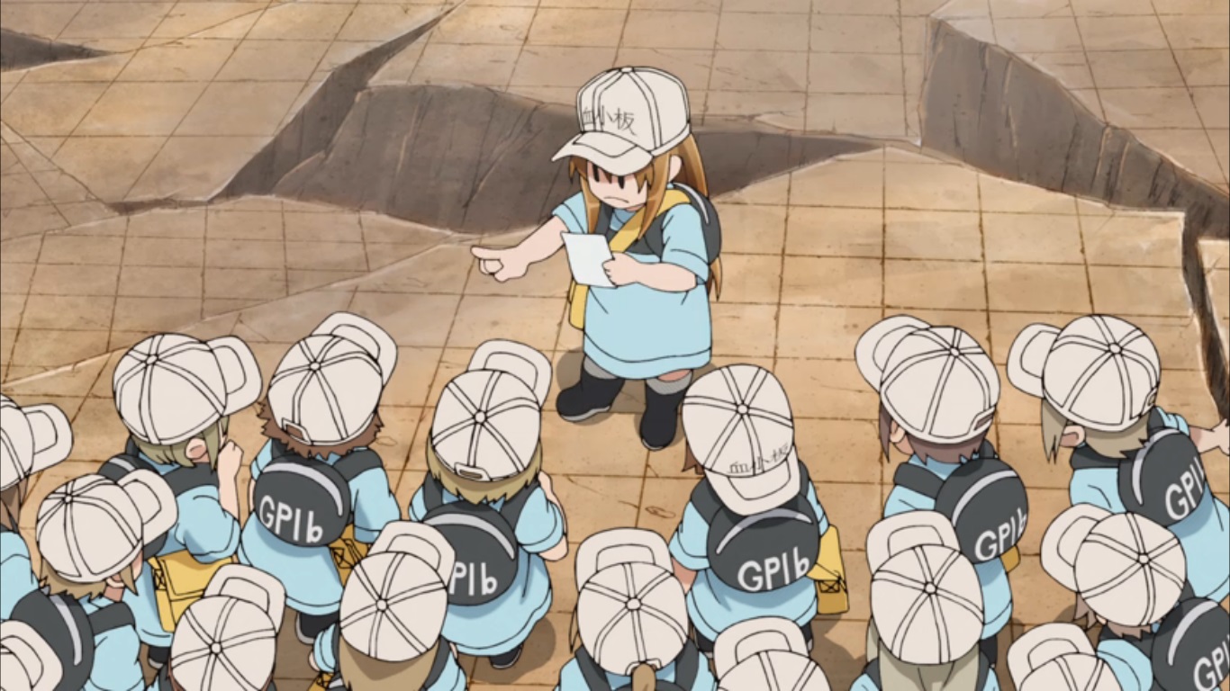 Hataraku Saibou, Plaquetas