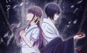 Fruits Basket