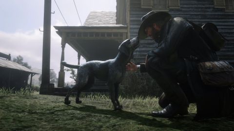 Red Dead Redemption 2  Mod adiciona animais selvagens como montaria no jogo