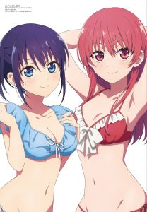 Megami Magazine