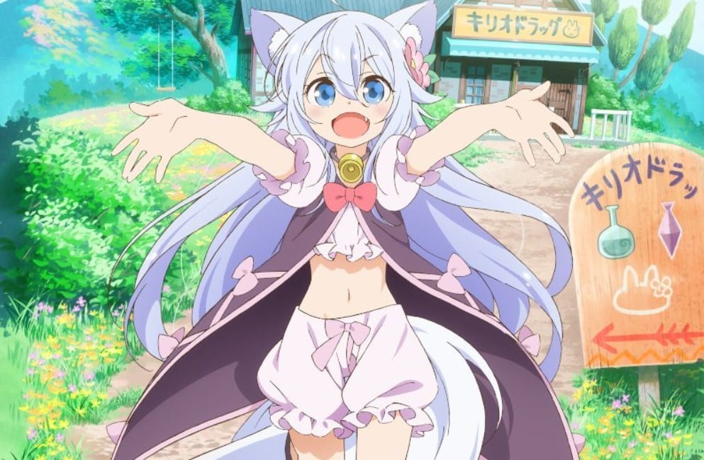 Primeiras Impressões Drugstore in Another World Anime United