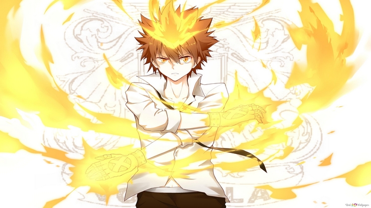 Katekyo Hitman Reborn!
