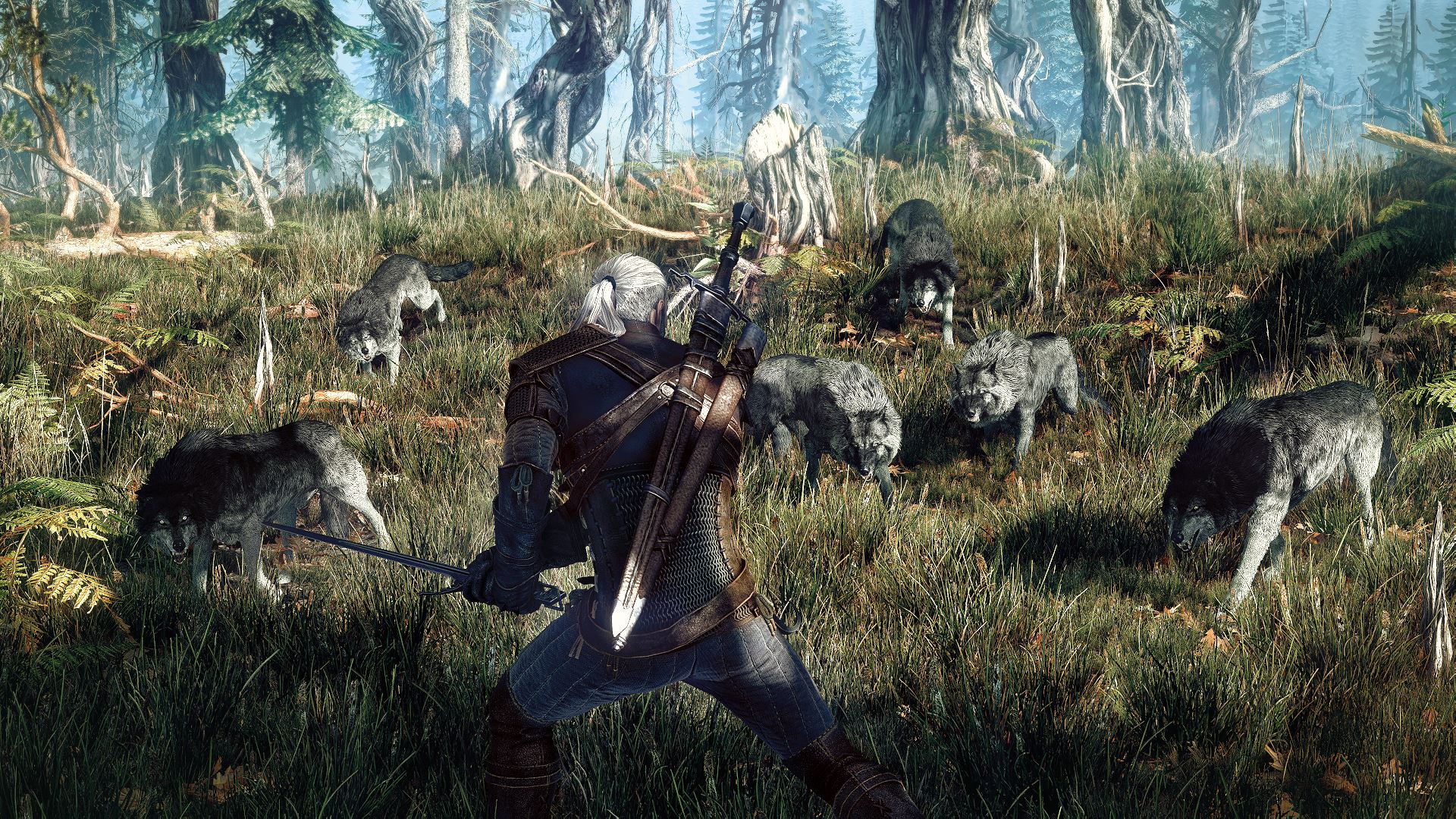 The Witcher