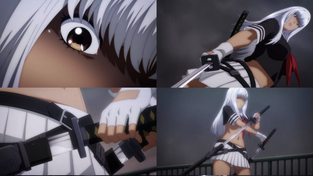 Assistir Shin Ikkitousen Episodio 3 Online