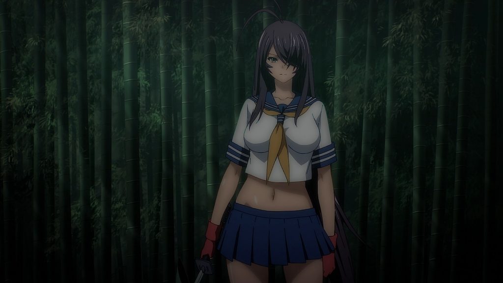 Assistir Shin Ikkitousen - Episódio 001 Online em HD - AnimesROLL