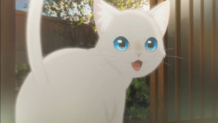 OLHOS DE GATO 2 NAKITAI WATASHI WA NEKO WO KABURU 2 