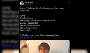 SethTheProgrammer