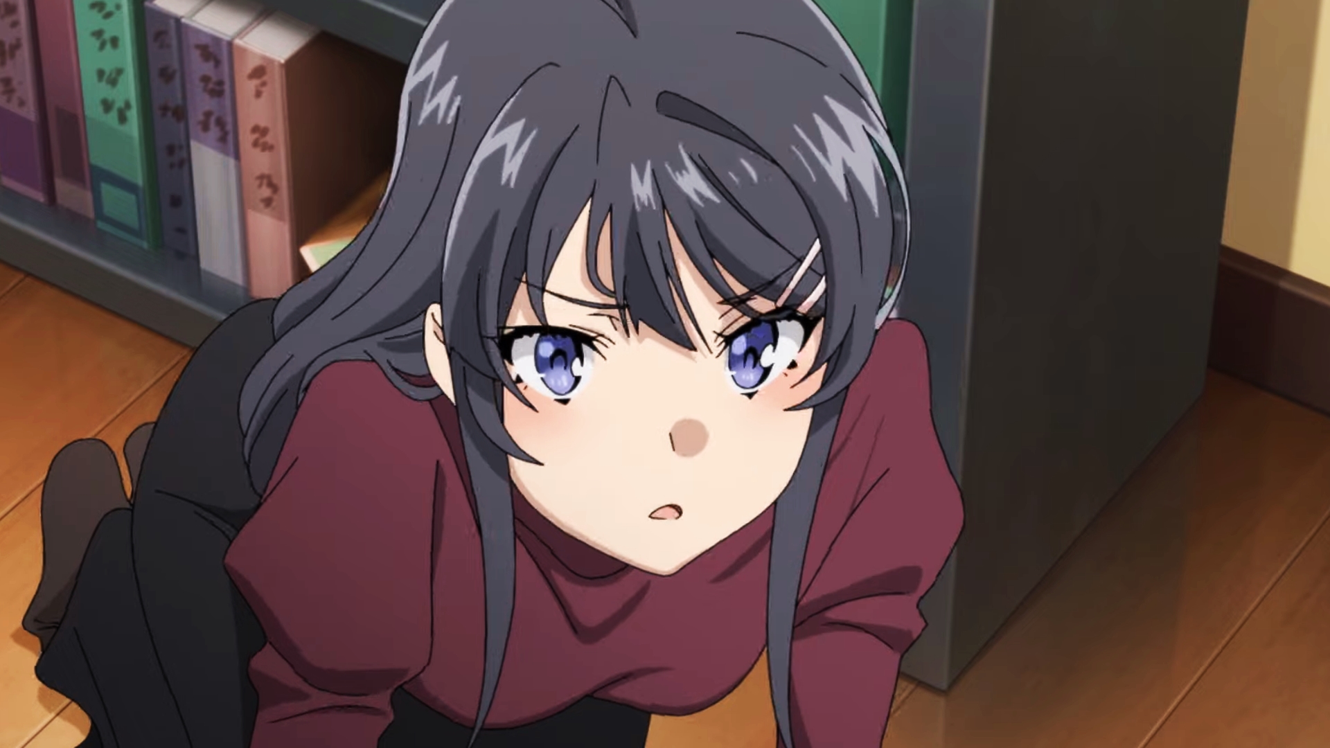 Seishun Buta Yarou wa Randoseru Girl no Yume o Minai - Sakurajima