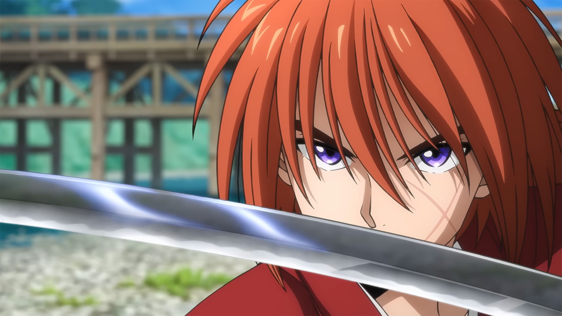 Hataraku saibou 2: confirman cantidad de capítulos para segunda temporada, Animes