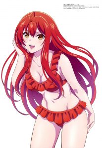 Megami Magazine