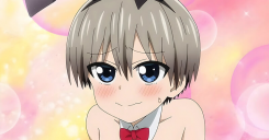 Uzaki-chan wa Asobitai!