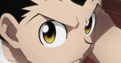 HUNTER x HUNTER