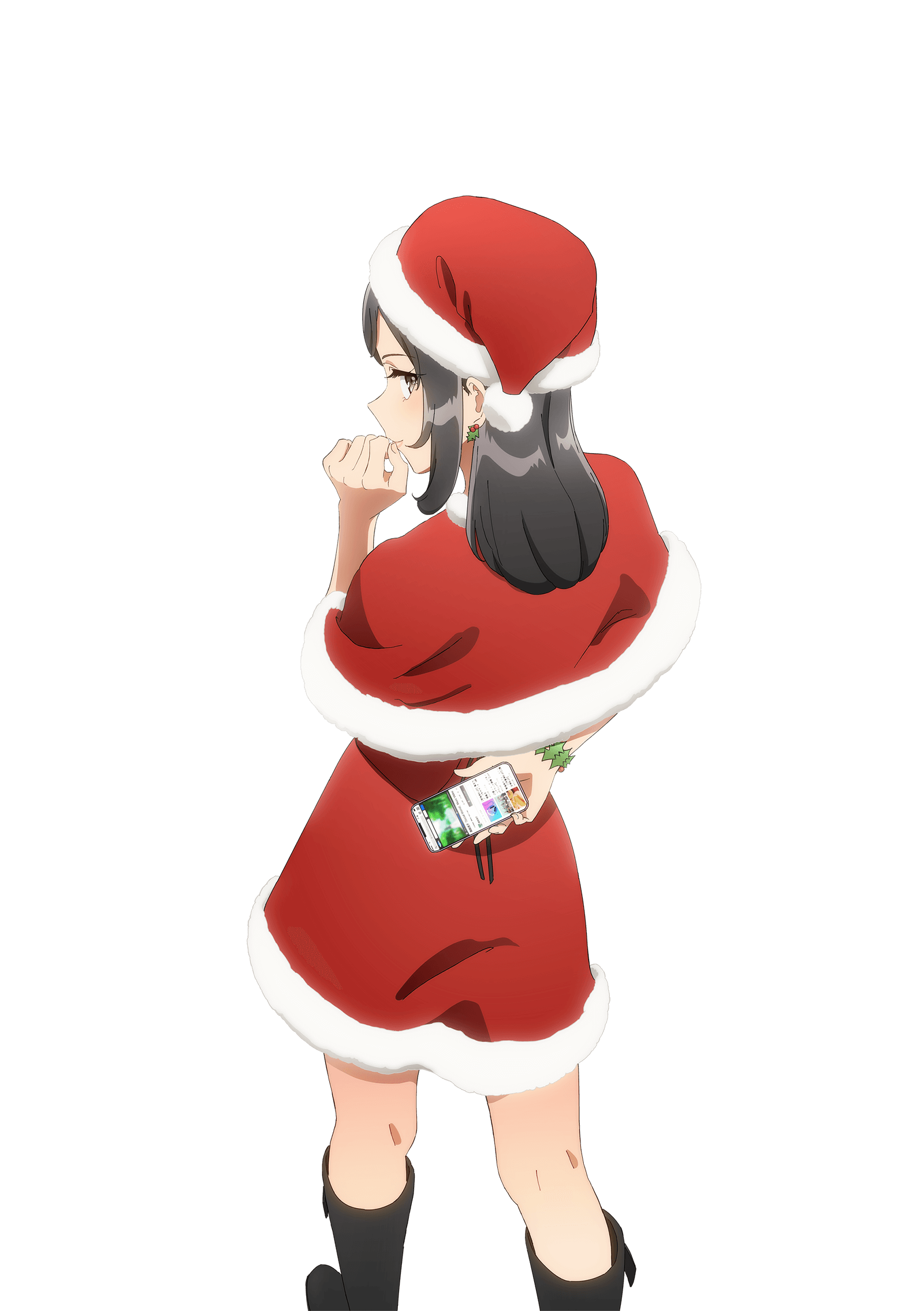 Rascal Does Not Dream of Santa Claus