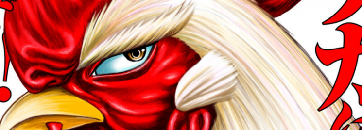 Niwatori Fighter