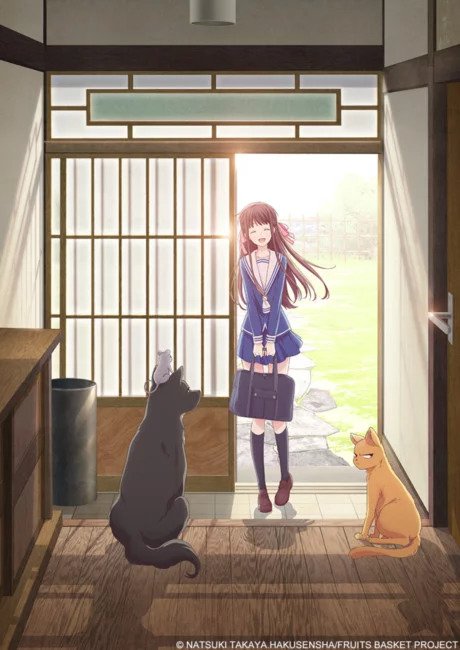 Fruits Basket